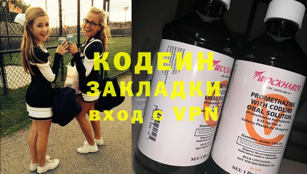 шишки Нягань