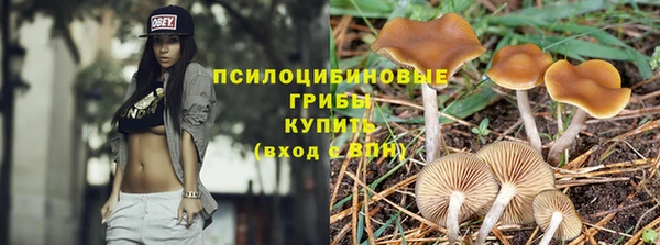 шишки Нягань