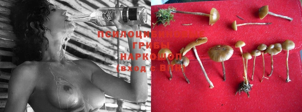 шишки Нягань