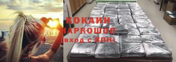 шишки Нягань