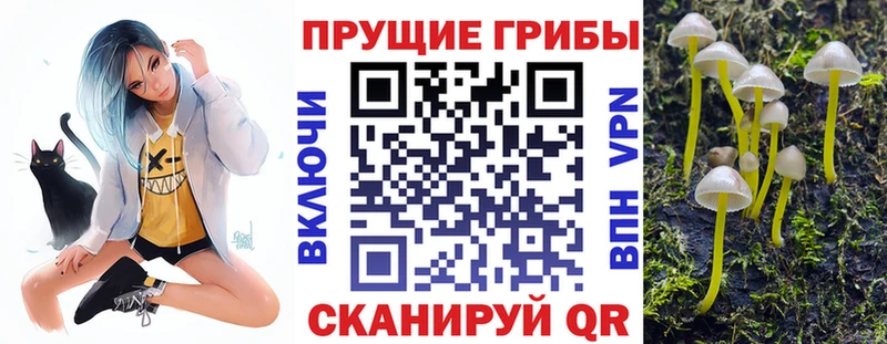 Псилоцибиновые грибы мицелий Минеральные Воды